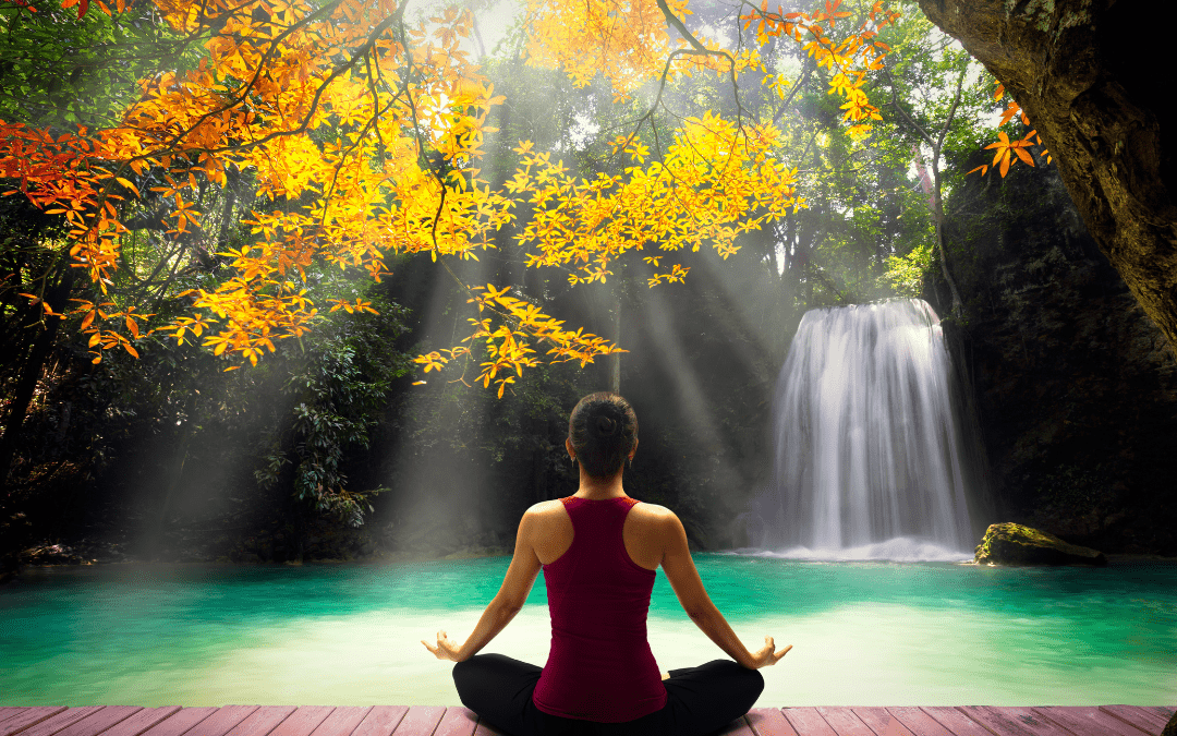 Mindfulness and Mindfulness for Meditation