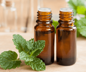 Peppermint essential oil 