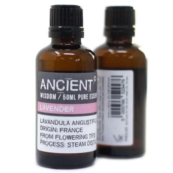 Rose Dilute 50ml - Image 3