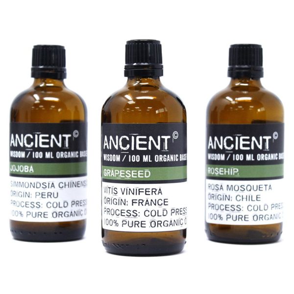 Wheatgerm Organic Base Oil - 100ml - Image 3