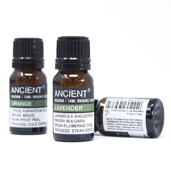 Ylang Ylang Organic Essential Oil 10ml - Image 2