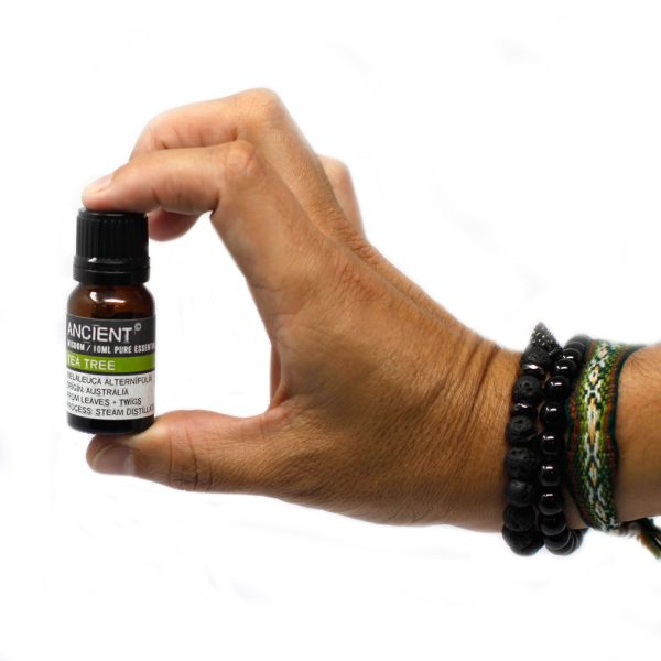 10 ml Spearmint - Image 2