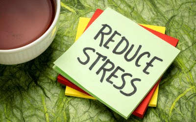 Weekly Newsletter – 5th November 2025