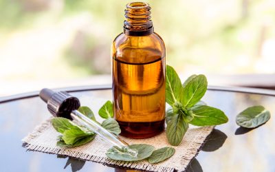 Weekly Newsletter – 12th November 2025